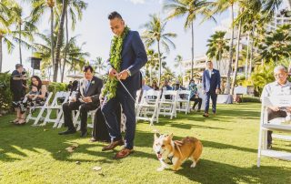 A man in a suit walks a corgi on a leash down an outdoor aisle lined with white chairs, with guests seated and palm trees in the background.